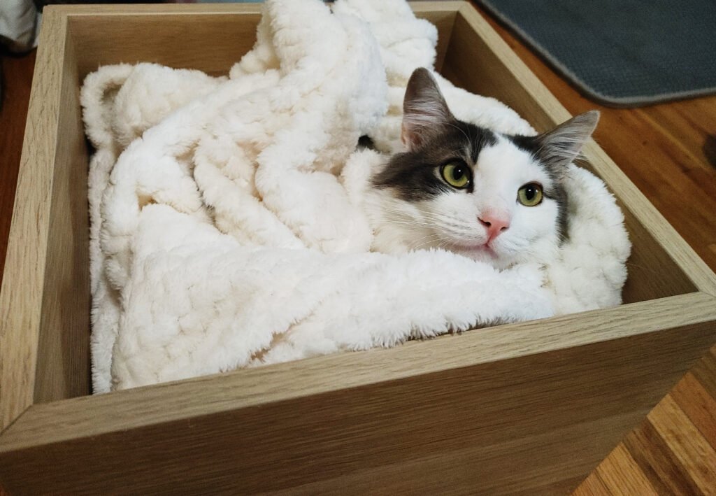 ORVITE | Home ORVITE|Home